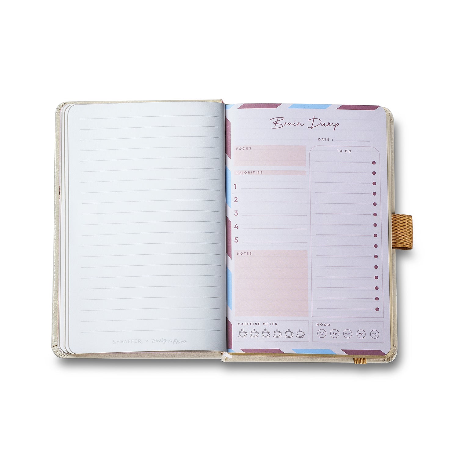 Sheaffer Gift Set ft. 100 Emily in Paris 9377 Champagne Gold Ballpoint Pen with Champagne Gold Trims and Hardbound Small Notebook.